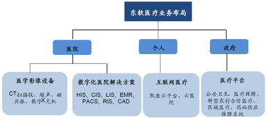 東軟集團(tuán) 深耕醫(yī)療信息化，構(gòu)建“三駕馬車”驅(qū)動(dòng)的數(shù)字未來(lái)